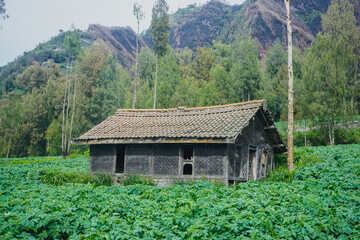 Fototapeta na wymiar Old village house in Indonesia