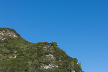 green small plants on a steep mountain with blue sky without clouds