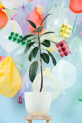 Plant in a pot, against the background of plastic garbage. High quality photo