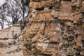 wild Tasmanian landscape during a hike to Fossil Cove with interesting rock formations