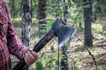 A lumberjack in a plaid shirt brandishes an ax as he chops down a tree. Close-up of a lumberjack's hand holding an ax in the forest.