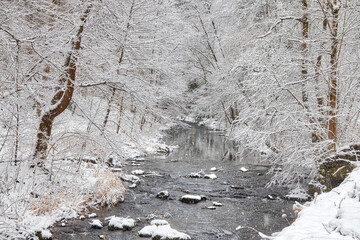 Selke im Winterkleid