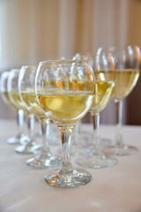 Elegant glasses with champagne standing in a row on serving table during party or celebration. Close-up, selective focus