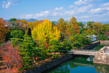 Fototapeta na wymiar 京都　二条城　本丸庭園の紅葉
