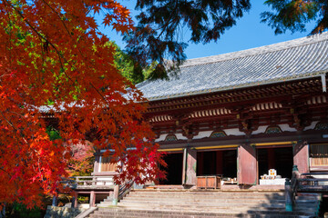 	京都　神護寺の金堂と紅葉