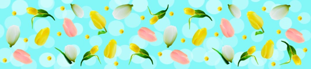 Fototapeta na wymiar Spring banner with tulips. Yellow, white and pink tulips on a blue background with bokeh.