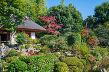 京都　等持院の茶室と庭園　紅葉