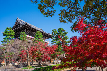 京都　金戒光明寺の山門と紅葉