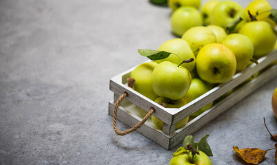 Raw Fruits. Fresh Apple Fruit. Garden Green Apples in White Wooden Box on Rustic Gray Table. Copy Space
