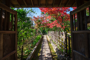 京都　妙心寺の塔頭寺院　大法院の紅葉　