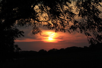 sunset in the country with clouds and a tree silhouette  west of Hutchinson Kansas USA thats bright and colorful.