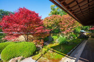 京都　大徳寺の塔頭寺院　興臨院の紅葉