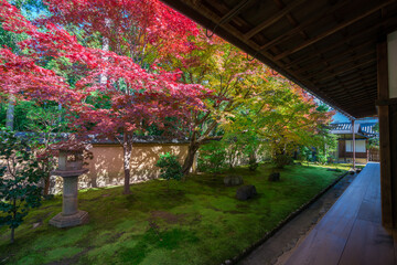 京都　大徳寺の塔頭寺院　興臨院の紅葉