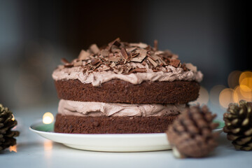 Fototapeta na wymiar chocolate cake 