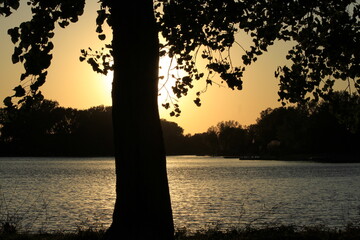 silhouette of a tree at sunset with a water reflection in Sterling Kansas USA that's bright and colorful.