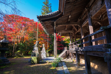 京都　金蔵寺（こんぞうじ）の紅葉