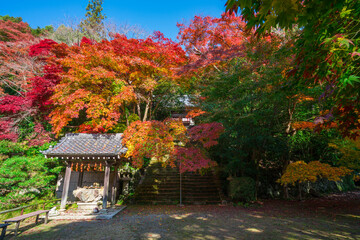 京都　金蔵寺（こんぞうじ）の紅葉