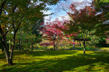 Fototapeta premium 京都 城南宮の紅葉 平安の庭