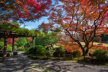 京都　城南宮の紅葉　室町の庭