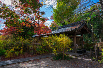 京都　梨木神社の萩と紅葉