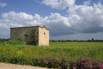 Casolare abbandonato nella campagna pugliese