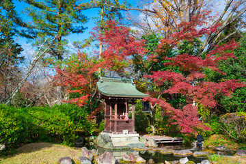 京都　広隆寺の紅葉　