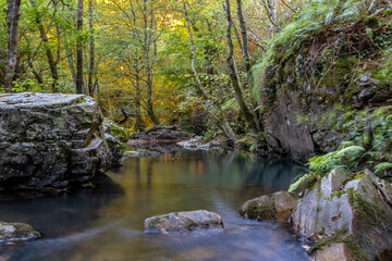 Naklejka na ściany i meble A small river descends calmly between rocks and a lush, dark forest. Quiroga River, O Courel