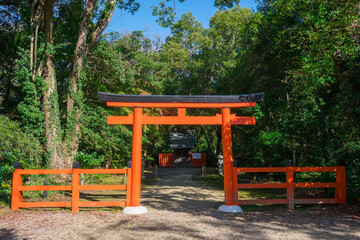Fototapeta na wymiar 京都府立植物園内に鎮座する半木神社（なからぎじんじゃ）