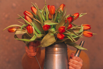 A large bouquet of red flowers in a vase. The woman is holding a large bouquet of red tulips in a watering can. Card for valentine's day or mother's day