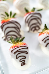 Chocolate dipped strawberries