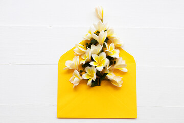frangipani white flower of asia in yellow envelope arrangement flat lay postcard style on background white wooden