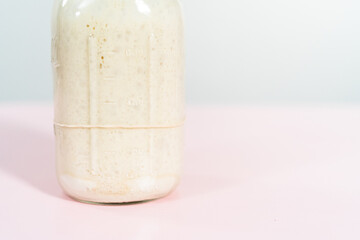 Sourdough starter