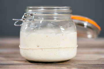 Sourdough starter