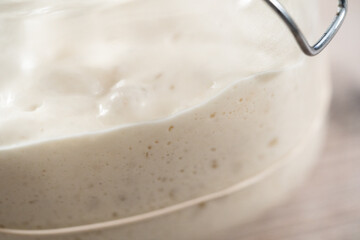 Sourdough starter