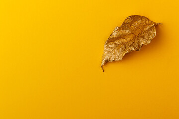 Golden leaf with yellow paper card note. Golden leaf on yellow background.