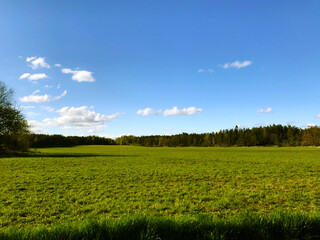 green field and blue sky