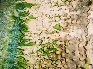 Woman resting on the texture rock at tropical beach in Bali