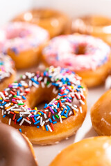 Doughnuts
