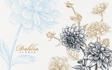 realistic blue and gold dahlia flower hand drawn illustration