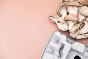 mushroom packaging solution, earth-friendly, home compostable packaging biodegradable and renewable material fully natural composite alternative to plastic. up-cycling. copy space