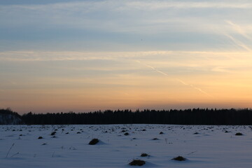 Naklejka premium snow field in front of the forest in winter. sunset