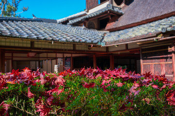 京都　晩秋の詩仙堂　