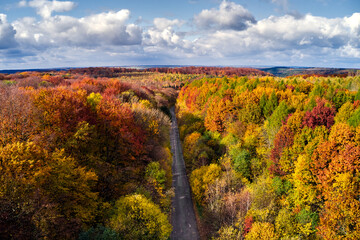Obraz premium Autumn landscapes of Brzezany region, Ukraine