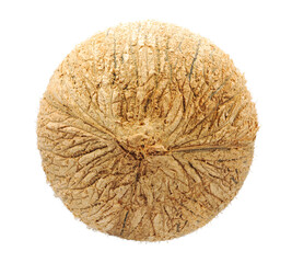 Coconut fruit isolated on white background