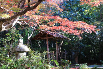 小さな庭園と古い木の門