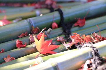 井戸の竹蓋に落ちる紅葉