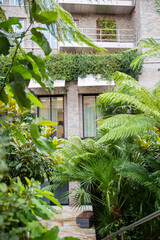 Plants and small palm trees at the entrance of a building