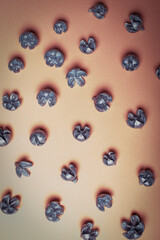 Dry leaves painted silver on a pink background.