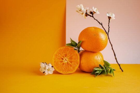 tangerines with cherry branch with blossom. sakura flowers. Chinese New Year