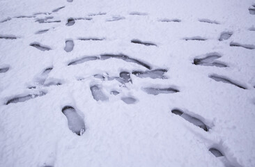 Footprints in the snow